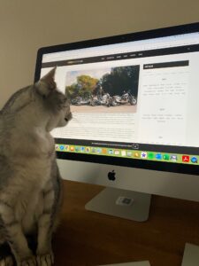 Virtueel Paraveterinair