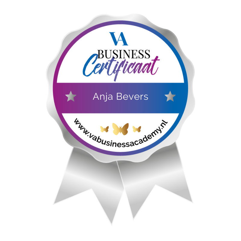 VA Business Academy VA Business Academy