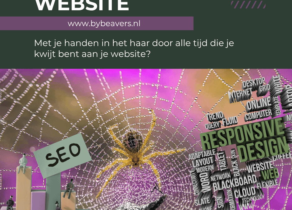 Websitecheck