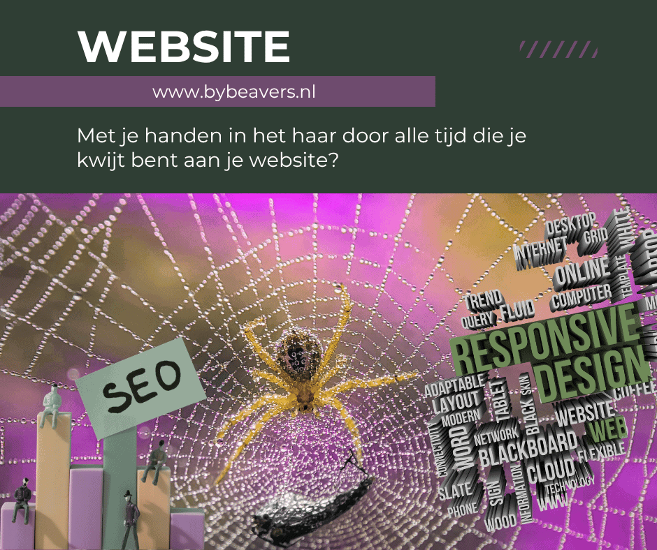 Websitecheck
